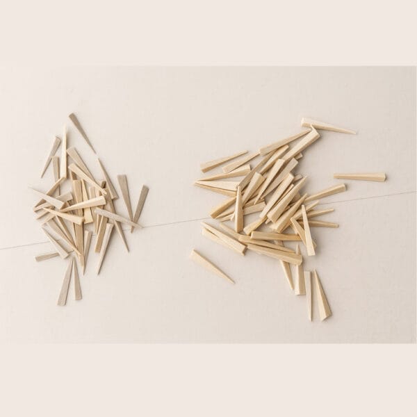 وج چوبی دنتوپلاست