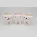 مجموعه گلدان کوچک طرح دندان برای دکوراسیون خانه و مطب