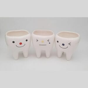 مجموعه گلدان کوچک طرح دندان برای دکوراسیون خانه و مطب