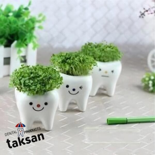 گلدان کوچک طرح دندان ۳ عددی - Image 2