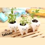 گلدان کوچک طرح دندان ۳ عددی - Image 3