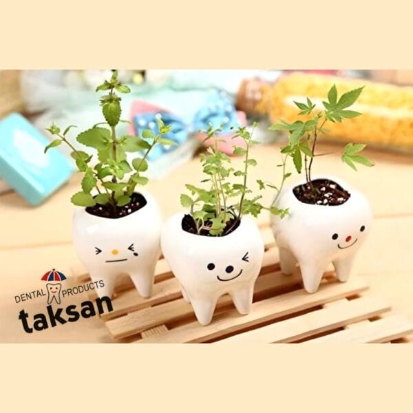 گلدان کوچک طرح دندان ۳ عددی - Image 3